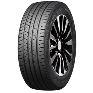 255/45R19 104W XL DOUBLESTAR OPTIMUM DSU02 UHP M+S