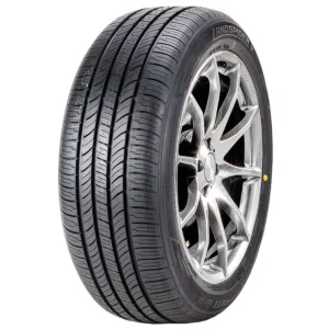 205/55R16 LANDSPIDER